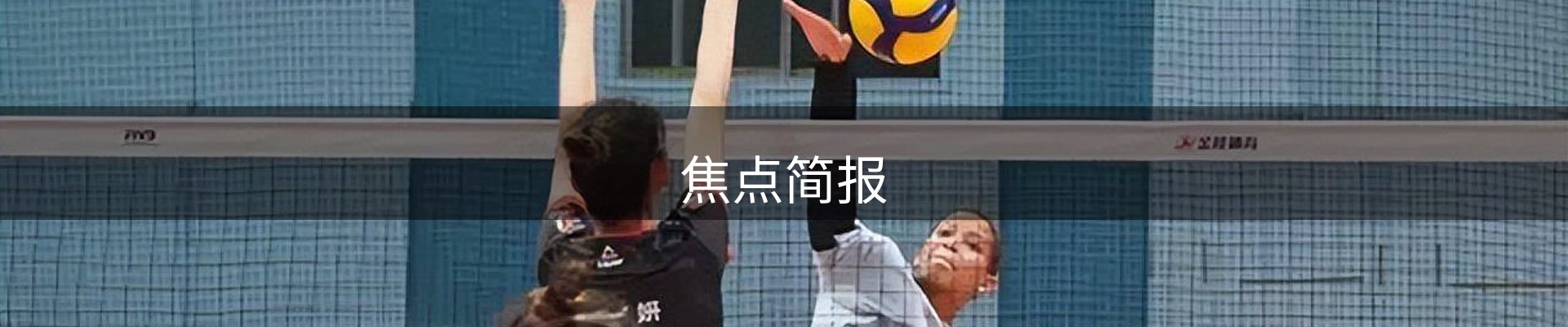 焦点简报